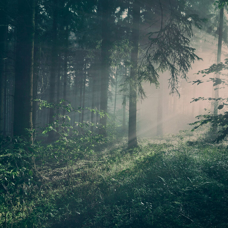 Image without a name