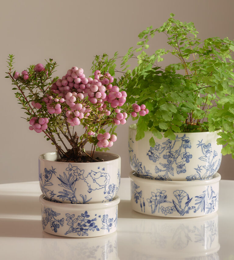 Shop dekoration i Illums Bolighus