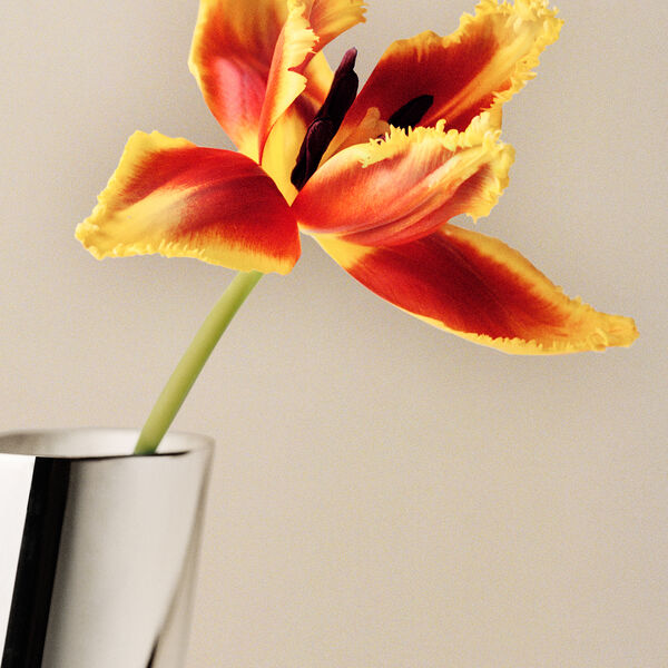 Lituus Vase Large, Georg Jensen