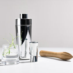 Rocks shaker, Zone Denmark