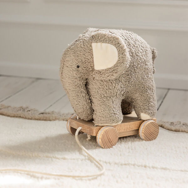 Fanto trækdyr, grey Fanto trækdyr, grey, Sebra