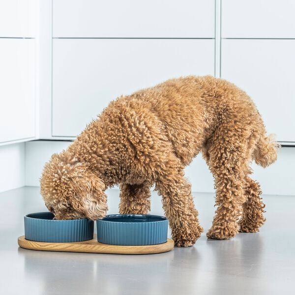 Kronborg Food Bar, petrol blue Kronborg Food Bar, petrol blue, DOG Copenhagen