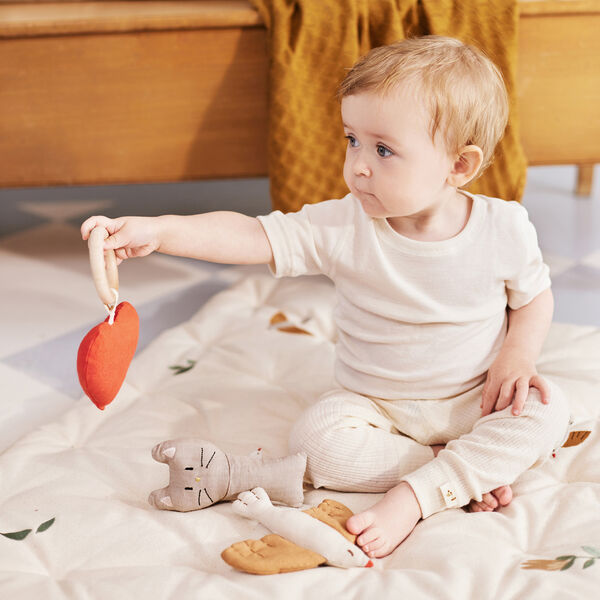 Meri legemadras, songbirds, Dear April