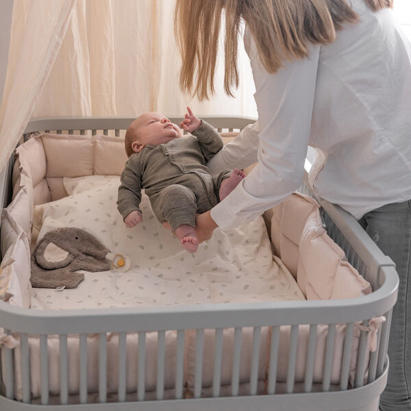 Sebra sengen Baby & Jr., stone, Sebra