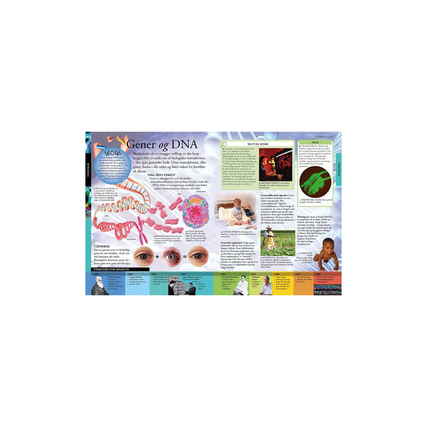 Det store børneleksikon, Forlaget Globe