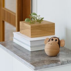 Abeskålen, Spring Copenhagen