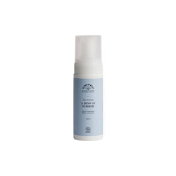 A Hint of Summer - The Mousse A Hint of Summer - The Mousse, Rudolph Care