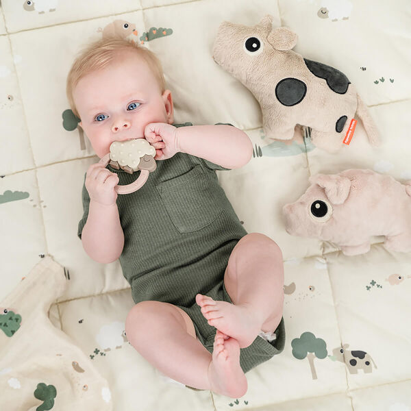 Dotti krammedyr, sand, Done by Deer