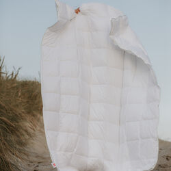 Spring dyne Spring dyne, Fossflakes