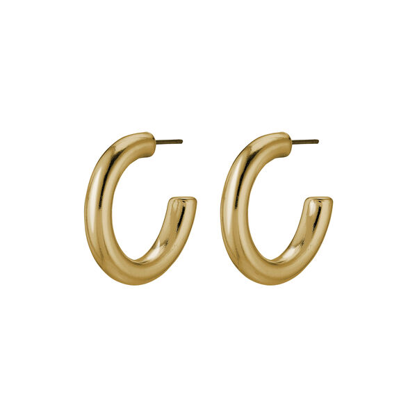 Dolag øreringe, guld Dolag øreringe, guld, Pilgrim