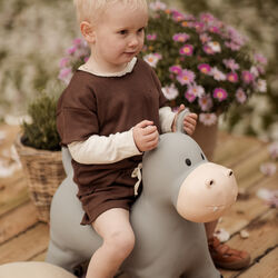 Holger the Hippo Jumping Animal, Find that hippo