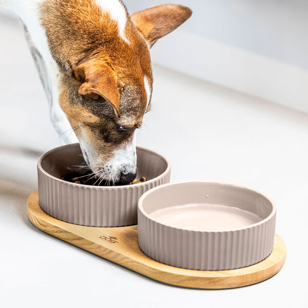 Kronborg Food Bar, caffe latte Kronborg Food Bar, caffe latte, DOG Copenhagen