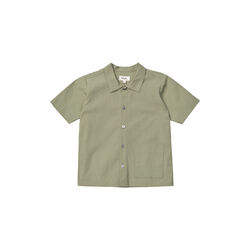 Billy Shirt, turtle, Lalaby