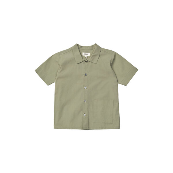 Billy Shirt, turtle, Lalaby