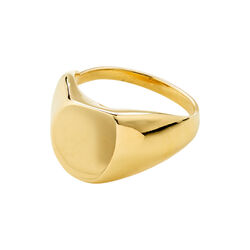 PRESENCE ring, guldbelagt, Pilgrim