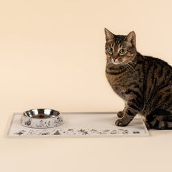 Mumi kattemadskål, Muurla