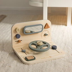 Bil aktivitetspanel, Sebra