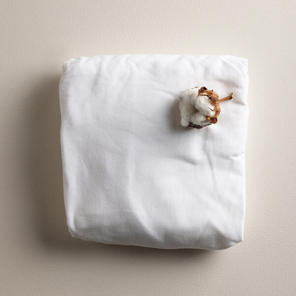 Baby jersey lagen, Sebra