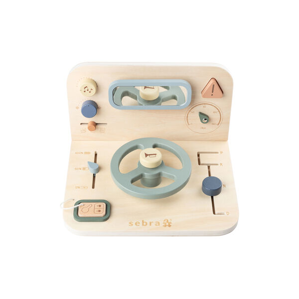 Bil aktivitetspanel, Sebra