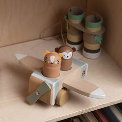 Wildlife flyer, Sebra