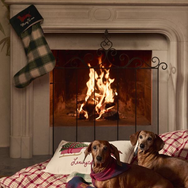 Dog Sleigh Velvet Pillow, white multi, Lexington