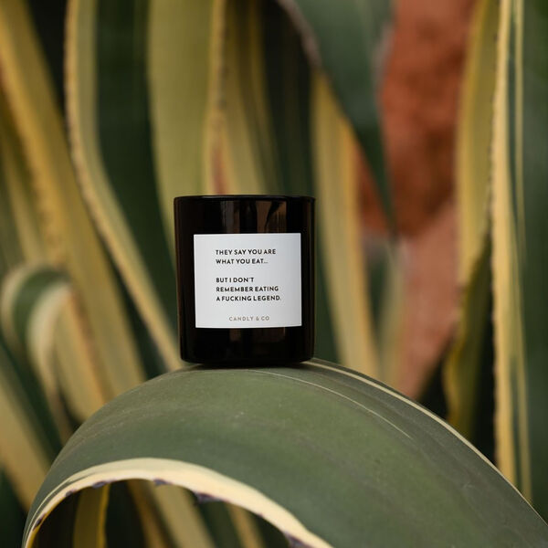 No. 1 Candle, They say you are what you eat, Candly & Co