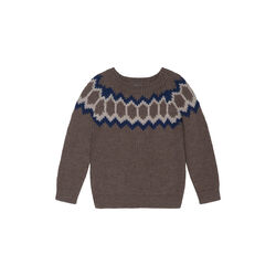 Llama Raglan | Brown | Sweater, Serendipity