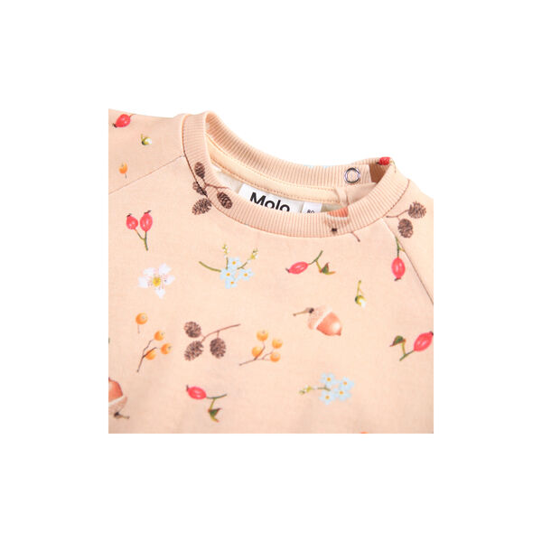 Disc sweater, foraging rose, Molo