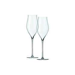 Notes Champagneglas 2 stk., Holmegaard