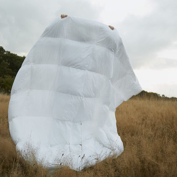 Autumn dyne, Fossflakes