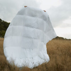 Autumn dyne Autumn dyne, Fossflakes