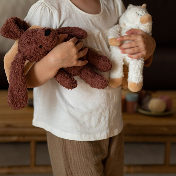 Den trofaste hund med kappe Den trofaste hund med kappe, Sleeping Hero