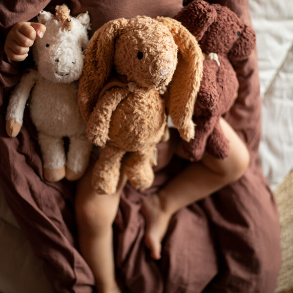 Den lyttende kanin med kappe, Sleeping Hero