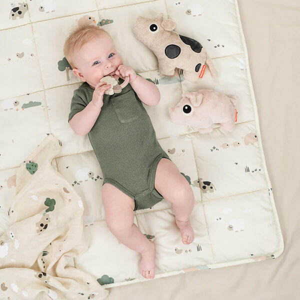 Dotti krammedyr, sand, Done by Deer