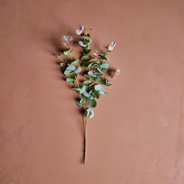 HDEucalyptus Kunstig blomst, House Doctor