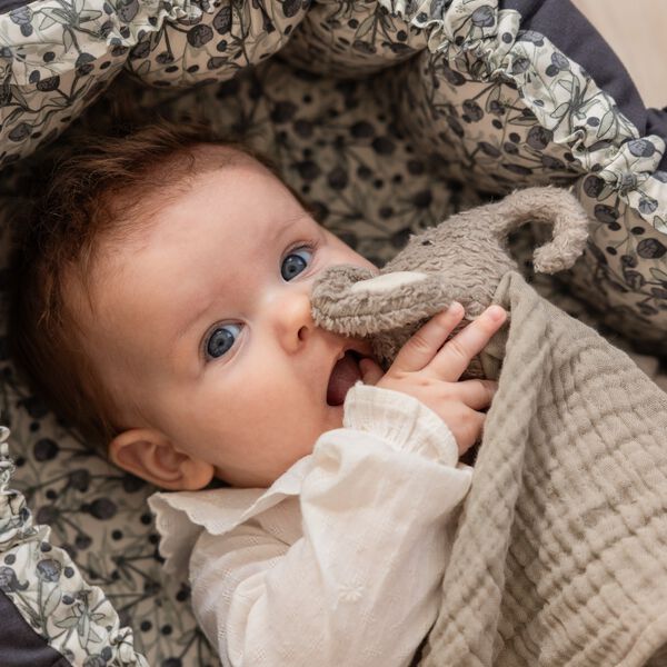 Elefanten Finley nusseklud, grey, Sebra