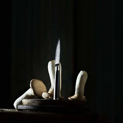 Urtekniv, Gastrotools