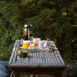 Flora h&oslash;jhankskop med underkop tulipan 27 cl, Royal Copenhagen