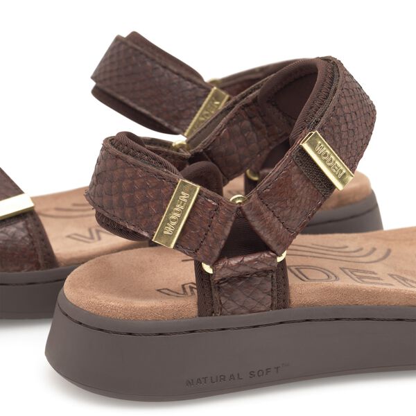 Line Fish, chocolate, WODEN