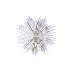 Maja 60, Watt & VEKE