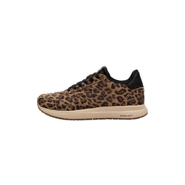 Nicoline Leo, leopard Nicoline Leo, leopard, WODEN