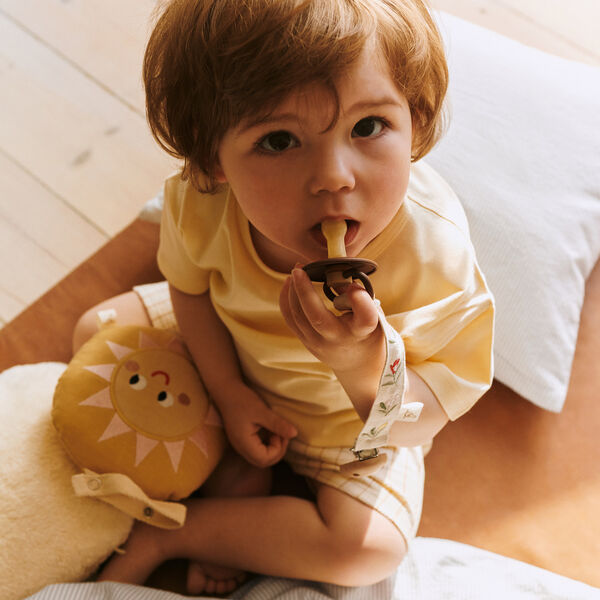 Sally sol mobile, Dear April