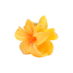 Plumeria Bella Mini, yellow Plumeria Bella Mini, yellow, SUI AVA
