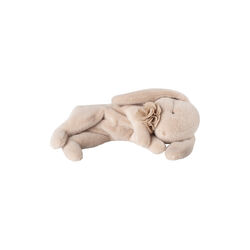 Lille sovende plyskanin, powder, Maileg