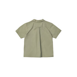 Billy Shirt, turtle, Lalaby