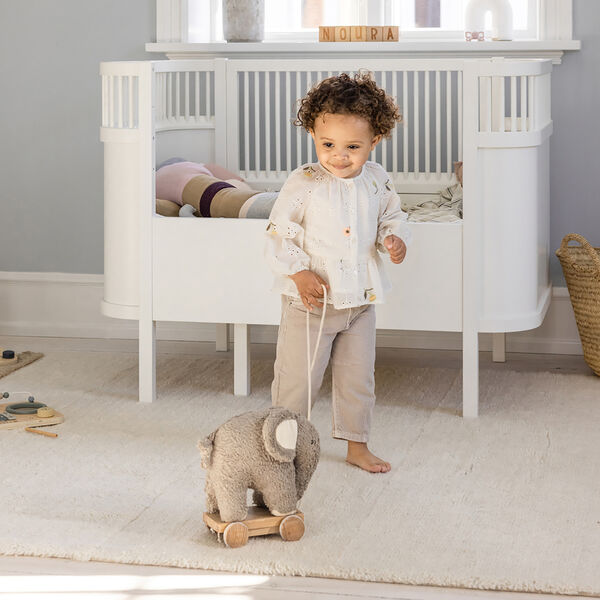 Fanto trækdyr, grey Fanto trækdyr, grey, Sebra