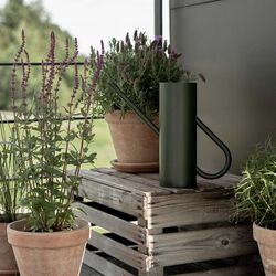 Bloom blomstervandkande, pine, Stelton