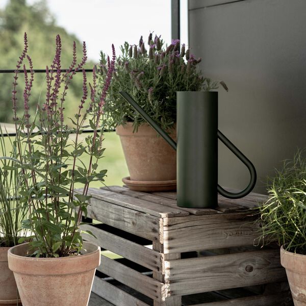 Bloom blomstervandkande, pine, Stelton