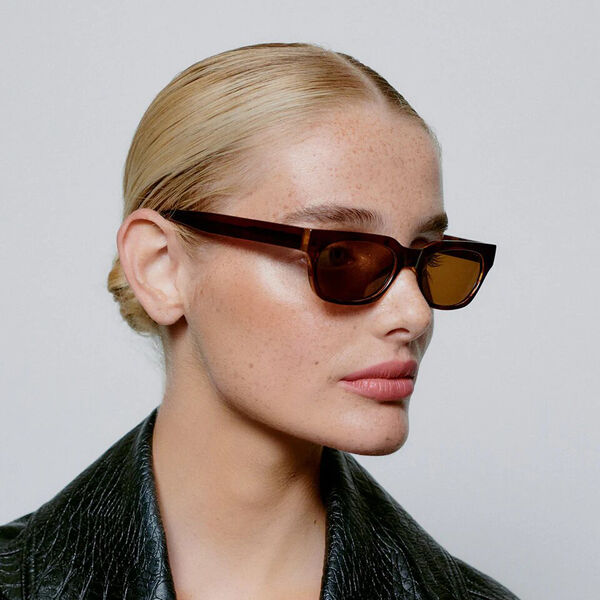 Bror Solbriller, brown/demi light brown, A. KJÆRBEDE