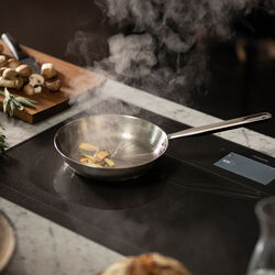 All Steel Pure stegepande Ø 24 cm, Fiskars